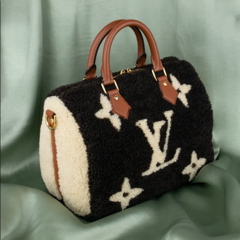 Louis Vuitton Shearling Teddy Speedy 25